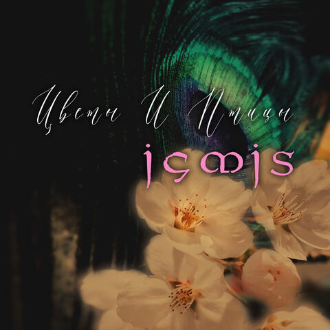 Цветы и птицы