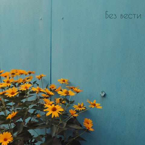 Без вести