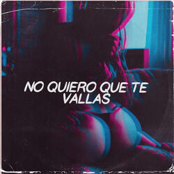No Quiero Que Te Vallas