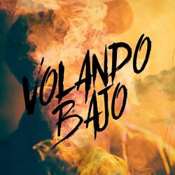 Volando Bajo