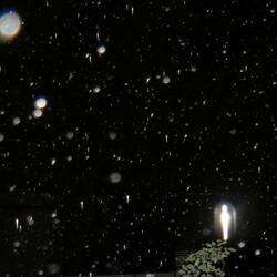 Agnosia / Lo Inextricable