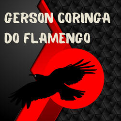 Gerson Coringa do Flamengo