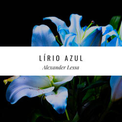 Lírio Azul