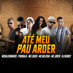 Ate Meu Pau Arder