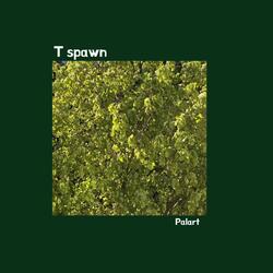 T Spawn