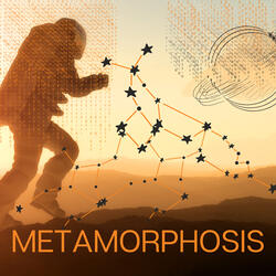 Metamorphosis