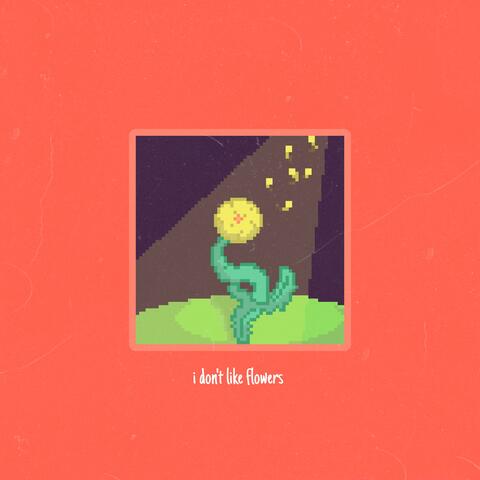 I Don't Like Flowers