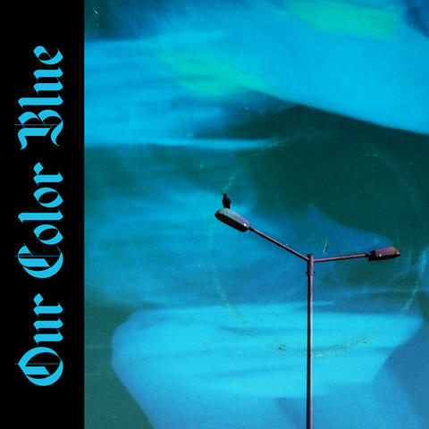 Our Color Blue