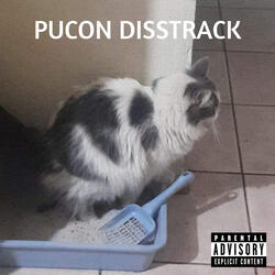 Pucon Freestyle