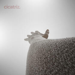Cicatriz