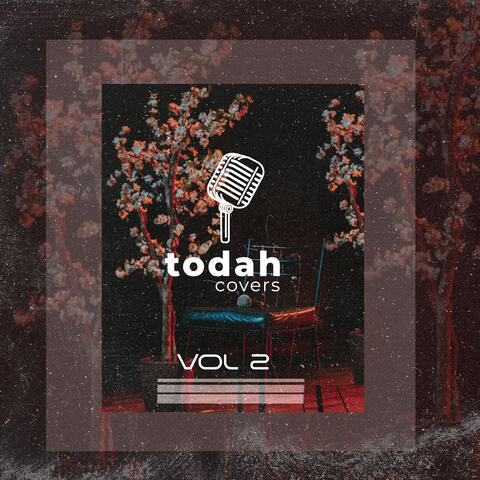 Todah Covers, Vol. 2