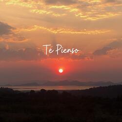 Te Pienso