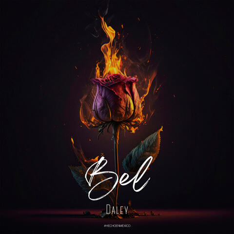 Bel