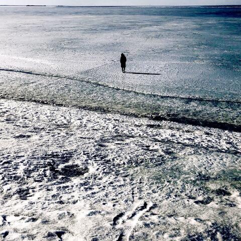 Вакуум зимних слов