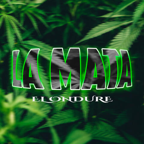 La Mata