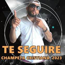 Te Seguire