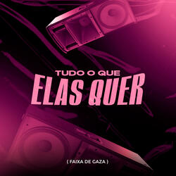 Tudo o Que Elas Quer