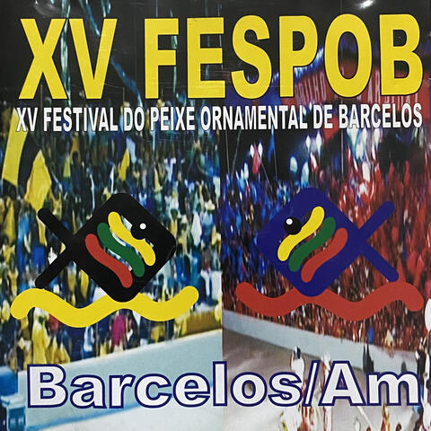 Barcelos Cidades Homônimas