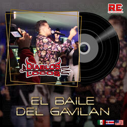 El Baile Del Gavilan