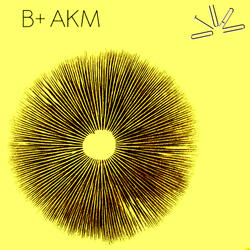 A1 [Lt521]