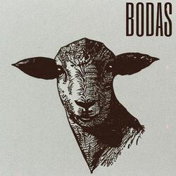 Bodas