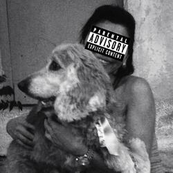 V-Roy & T-Roy