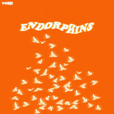 ENDORPHINS