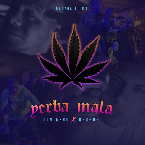 Yerba Mala