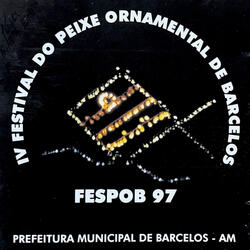 Navegador (Para Barcelos)