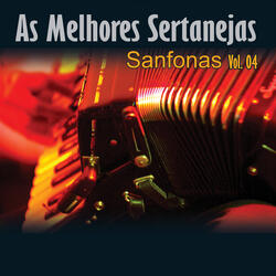 Sanfoneiro de Carneirinho