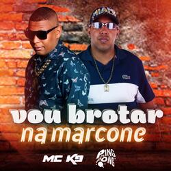 Vou Brotar na Marcone