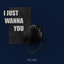 I Just Wanna You