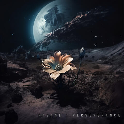 Pavane: Perseverance