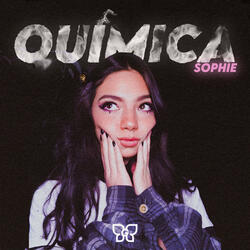 Quimica