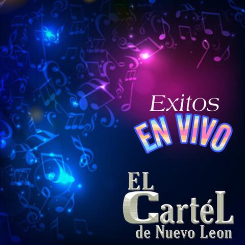 Éxitos en Vivo