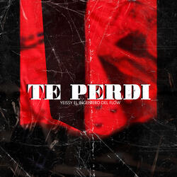 Te Perdi