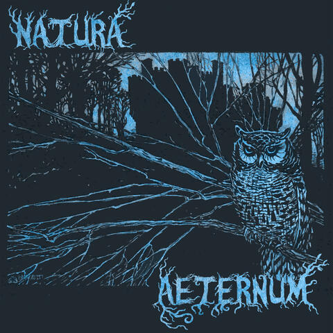Natura Aeternum