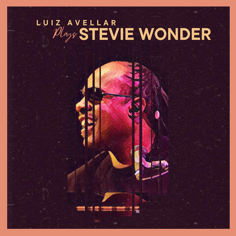 Luiz Avellar Plays Stevie Wonder