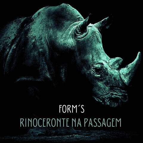 Rinoceronte na Passagem