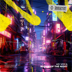 Middle Of The Night (Extended Mix)