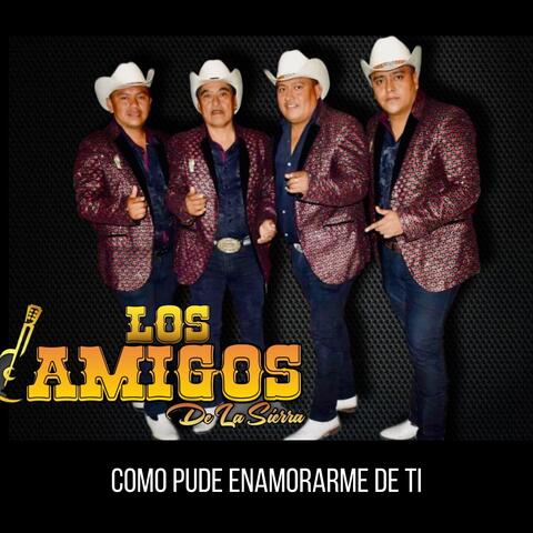 Como Pude Enamorarme de Ti