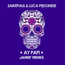 Ay Papi (JAMM' Remix)