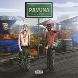 Pavuna