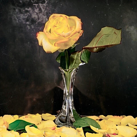 Flor Amarela