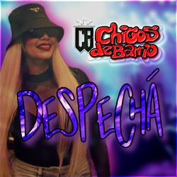 DESPECHÁ