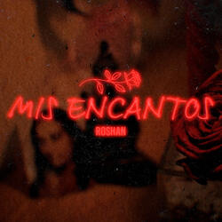 Mis Encantos