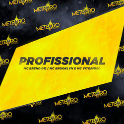 Profissional
