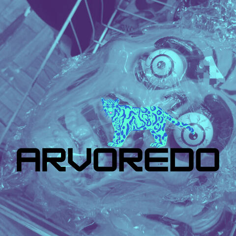 Arvoredo