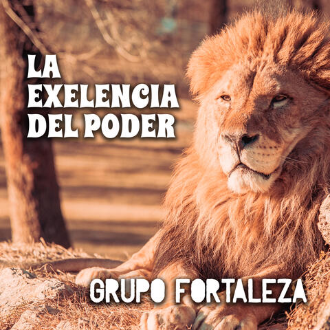 La Exelencia del Poder