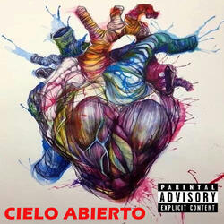 Cielo Abierto